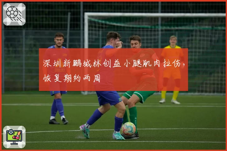 深圳新鹏城林创益小腿肌肉拉伤,恢复期约两周